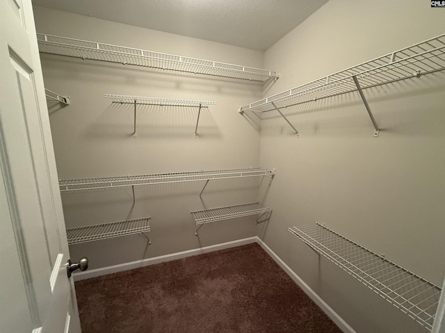 spacious closet with dark carpet