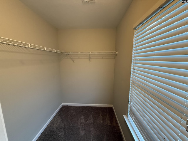 walk in closet featuring carpet flooring