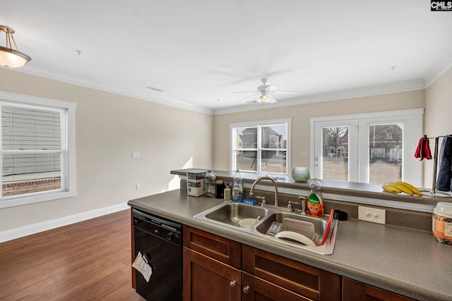 kitchen featuring crown molding, dishwasher, dark wood-type flooring, and sink