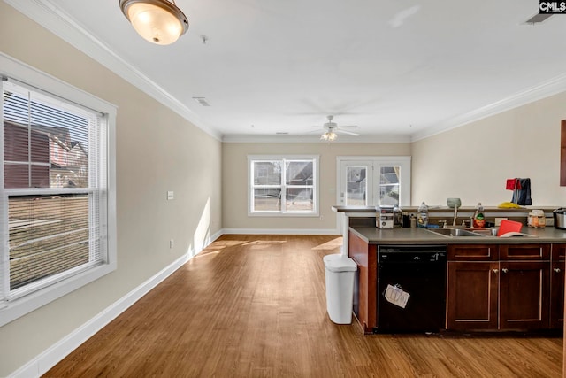 kitchen with dishwasher, light hardwood / wood-style floors, ornamental molding, and a wealth of natural light