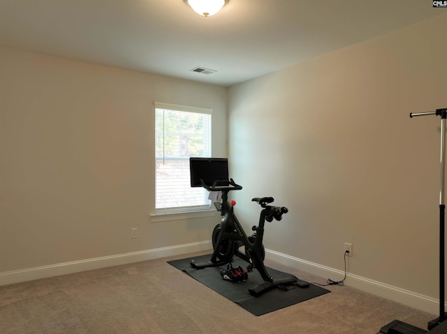 workout room featuring carpet flooring