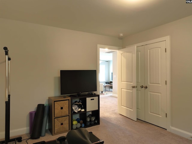 interior space featuring light colored carpet and a closet