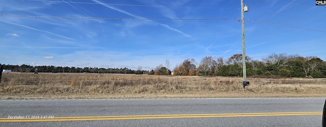 6032 Fish Hatchery Rd, Pelion SC, 29123 land for sale