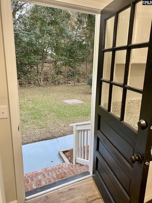 doorway to outside featuring wood-type flooring