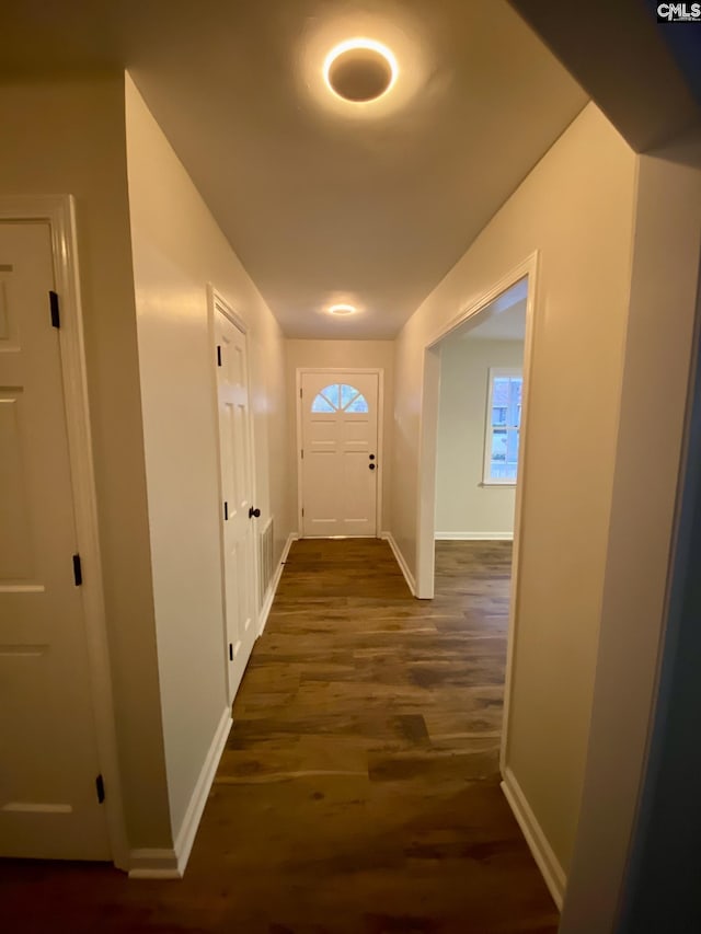 doorway to outside with dark wood-type flooring