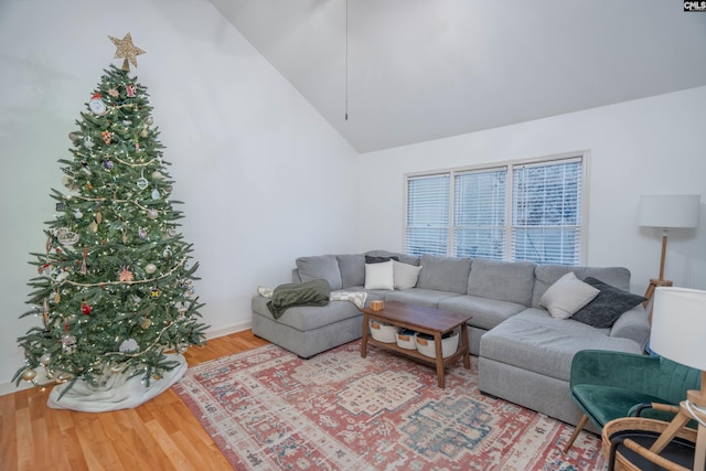 living room with hardwood / wood-style flooring and high vaulted ceiling