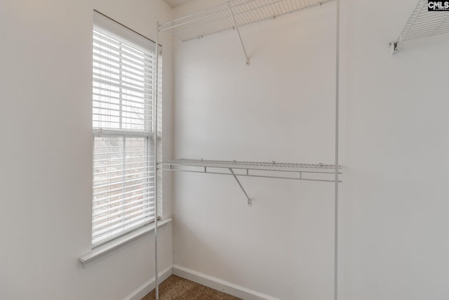 spacious closet with carpet floors