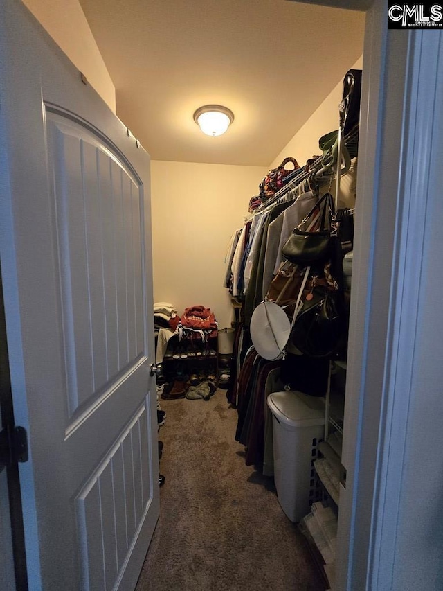 walk in closet with dark colored carpet