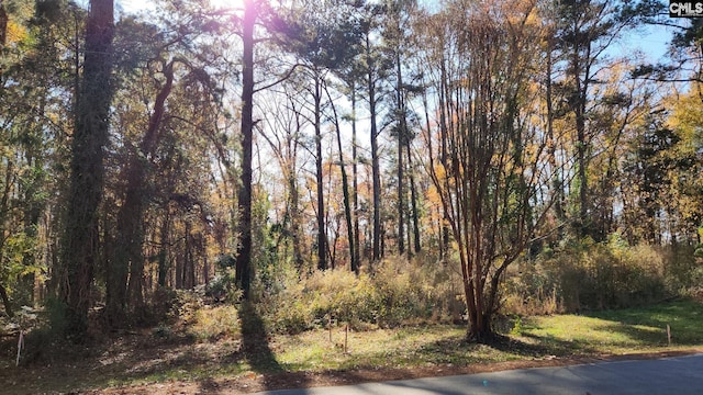 0 Old Cherokee Rd Lot # 6, Lexington SC, 29072 land for sale