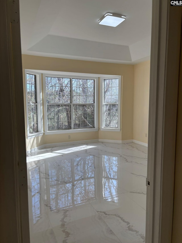 empty room with a healthy amount of sunlight and a tray ceiling