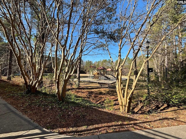 view of yard featuring a playground