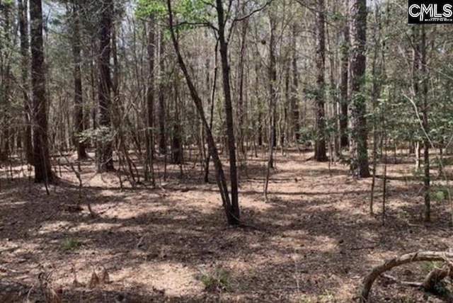 0TBDPARCELA Eleazer Rd, Irmo SC, 29063 land for sale