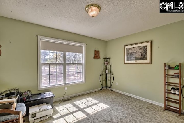 living area featuring light colored carpet and a textured ceiling