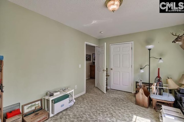 interior space with light carpet and a textured ceiling