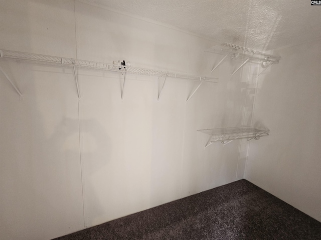 1611 Carolina Ln, Beaufort, SC 29906 - walk in closet featuring carpet flooring
