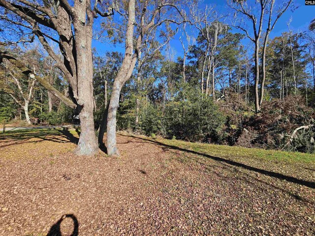 1611 Carolina Ln, Beaufort, SC 29906 - view of yard