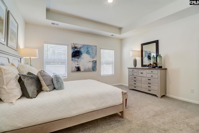 carpeted bedroom featuring a tray ceiling