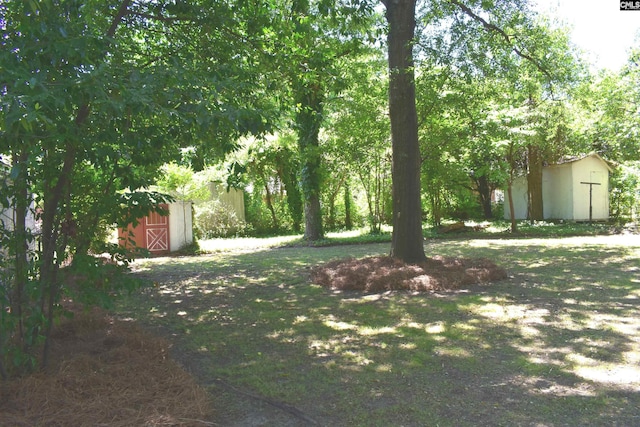 view of yard with a storage shed