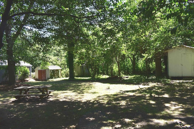 view of yard with a storage unit