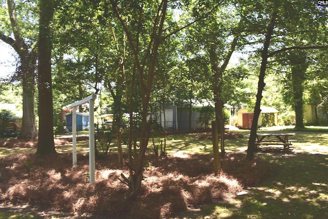 view of yard featuring a storage shed