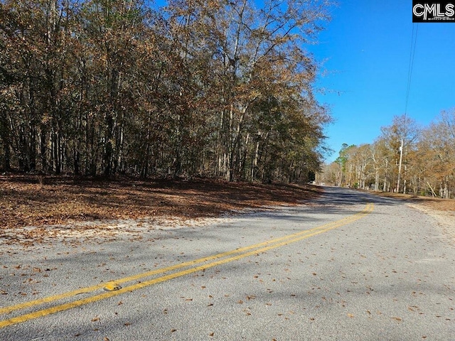 275 Twin Lakes Rd, Neeses SC, 29107 land for sale