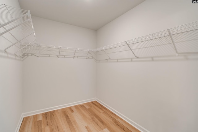 walk in closet featuring wood-type flooring