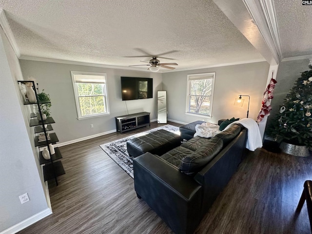 living room with crown molding, plenty of natural light, dark wood-type flooring, and a textured ceiling