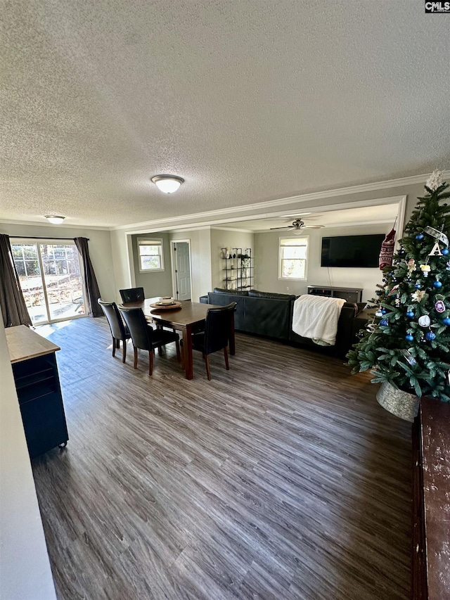 dining area with ornamental molding, dark hardwood / wood-style flooring, and a textured ceiling