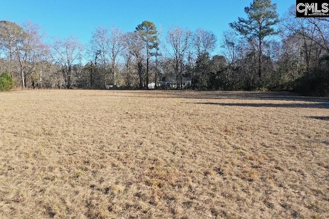 view of yard with a wooded view