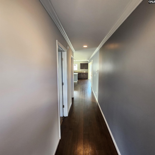 hallway with crown molding and dark hardwood / wood-style floors