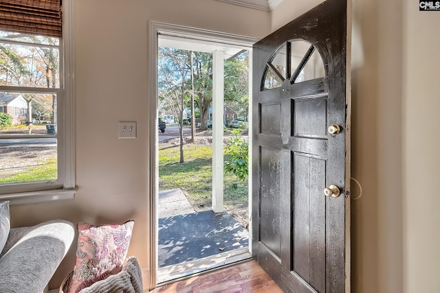 entryway featuring a wealth of natural light