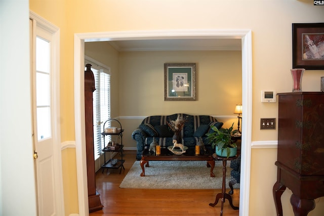 living room with hardwood / wood-style floors and ornamental molding