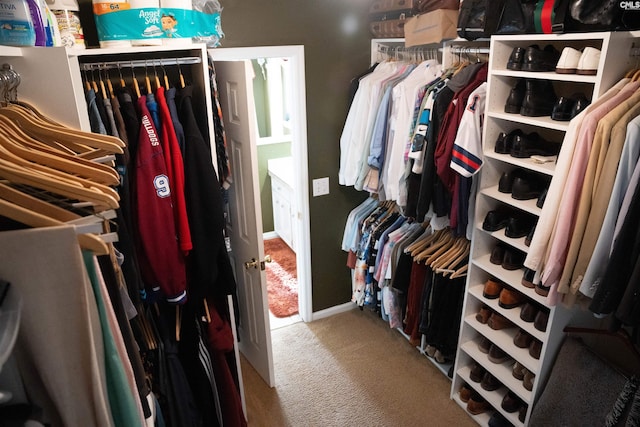 spacious closet featuring carpet