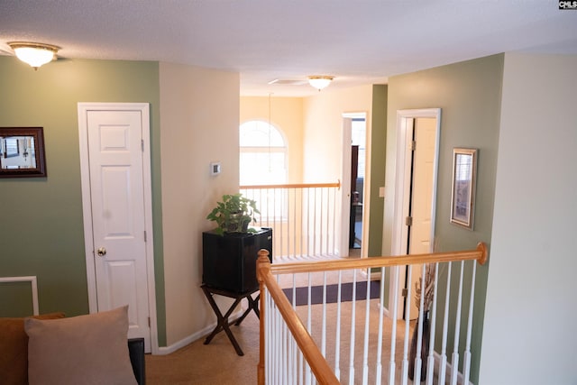 hallway with carpet