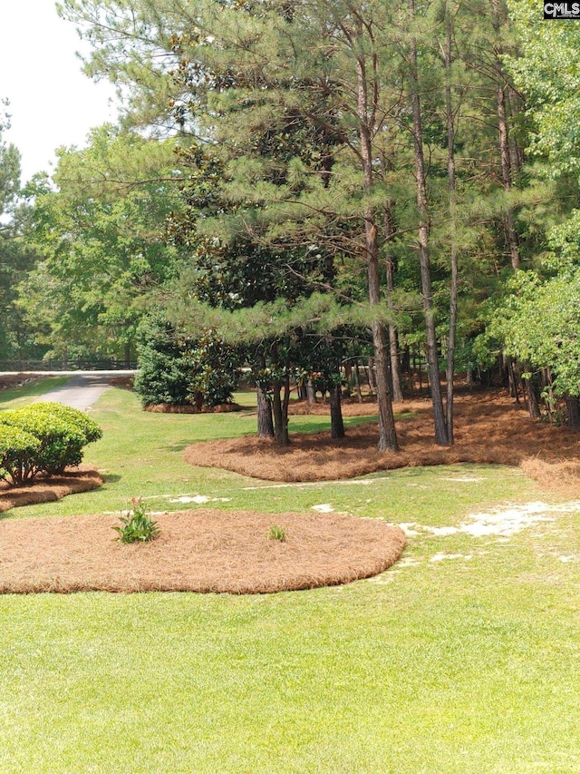 view of home's community featuring a yard