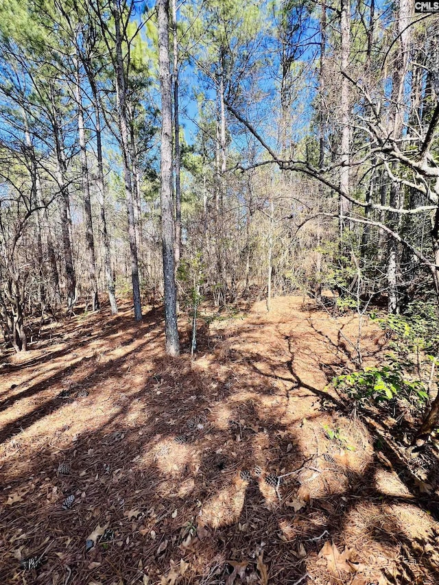 Listing photo 2 for 0 Pond Branch Rd, Leesville SC 29070