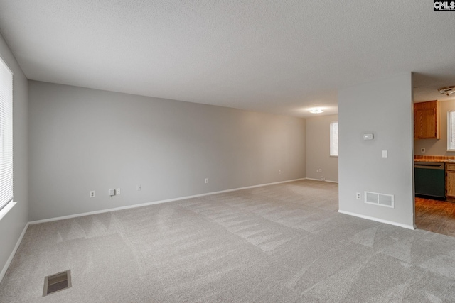 empty room featuring a healthy amount of sunlight, light colored carpet, and a textured ceiling