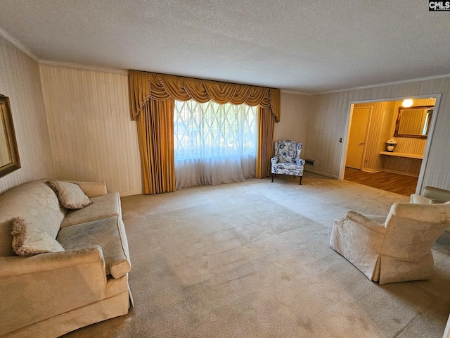 living room with crown molding, carpet, and a textured ceiling