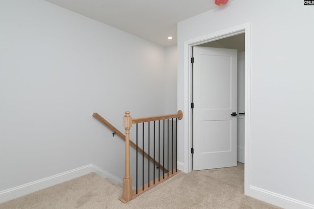 stairs with carpet flooring