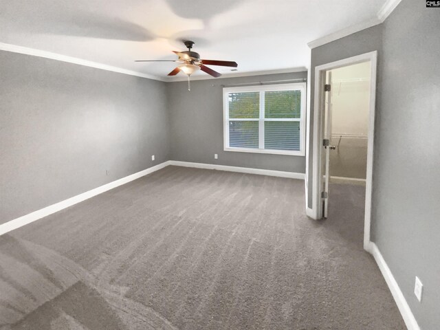 spare room with carpet flooring, ceiling fan, and ornamental molding