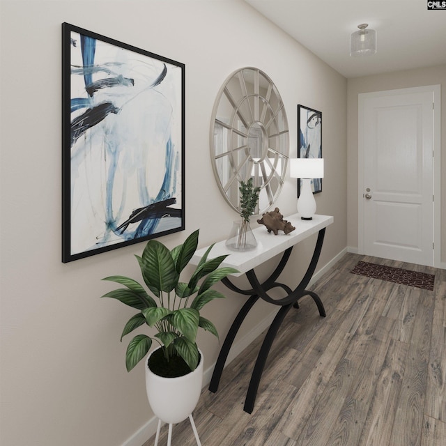 foyer with hardwood / wood-style flooring