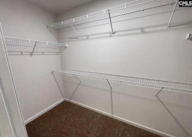 walk in closet with carpet flooring