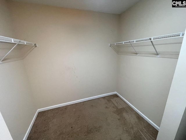 walk in closet with dark colored carpet