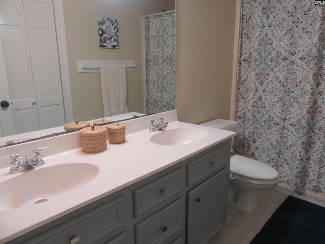 bathroom with vanity, wood-type flooring, and toilet