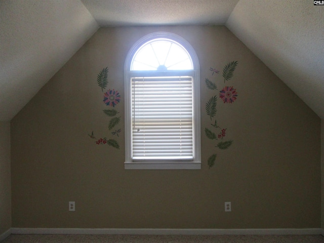 additional living space featuring carpet, a textured ceiling, and vaulted ceiling