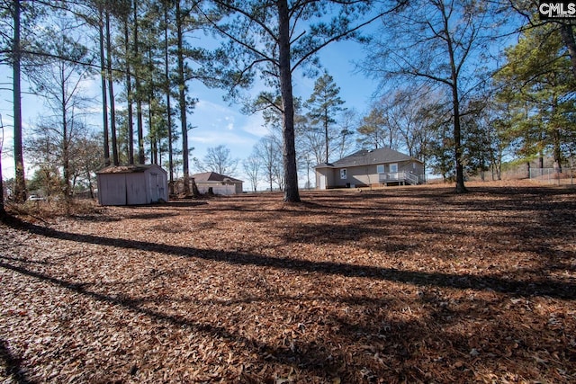 view of yard with a shed