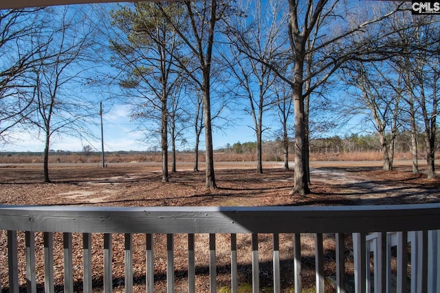 view of yard with a rural view