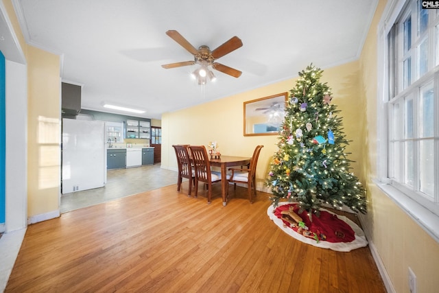 dining area featuring crown molding, ceiling fan, and wood-type flooring