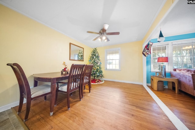 dining area with light hardwood / wood-style flooring, ceiling fan, and ornamental molding