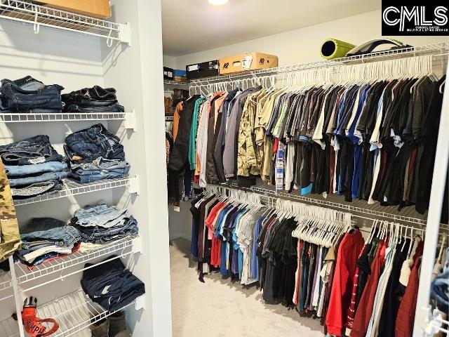 walk in closet featuring carpet flooring